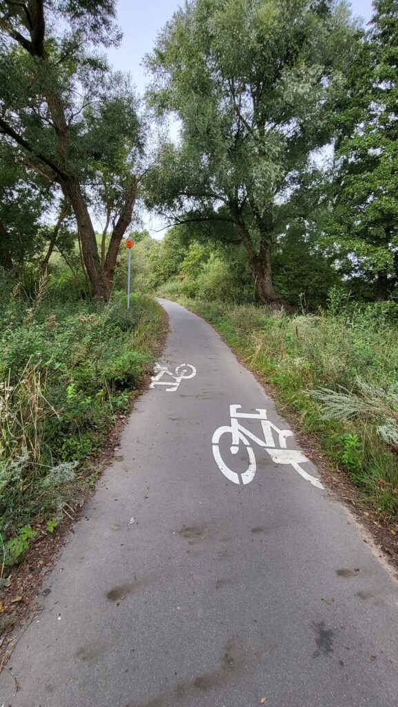 Malownicza ścieżka rowerowa Mazurskiej Pętli Rowerowej otoczona zielenią, z widocznym oznaczeniem dla rowerzystów na asfalcie.