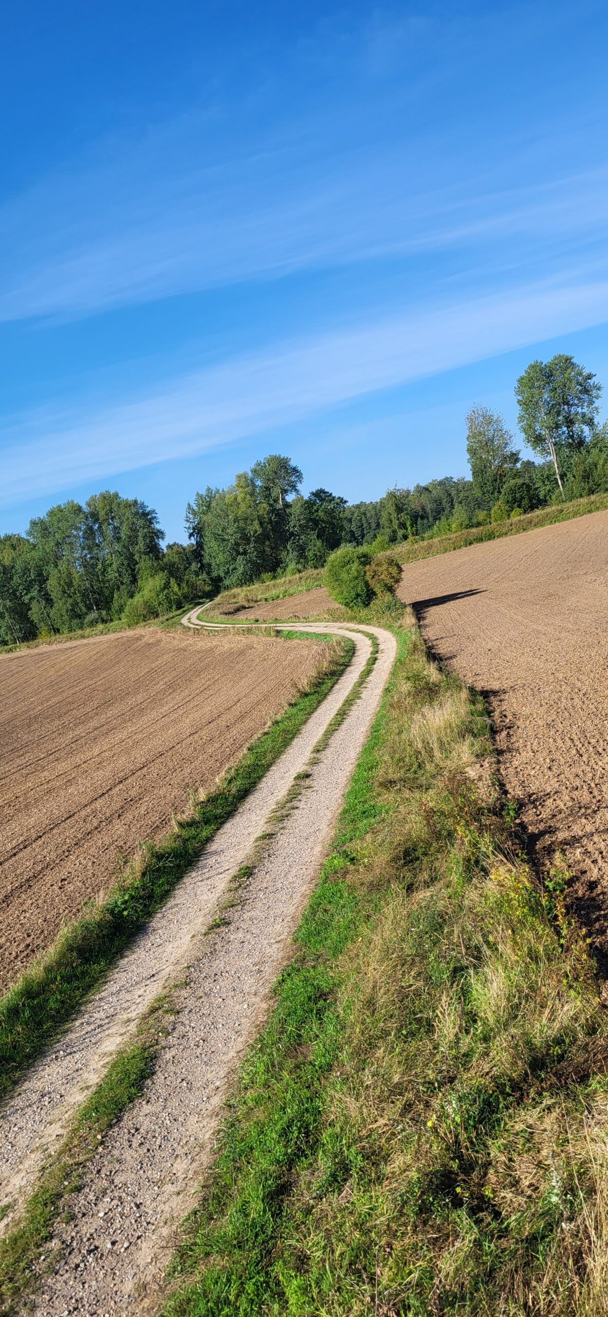 Kręta, żwirowa ścieżka Mazurskiej Pętli Rowerowej wśród pól i zieleni, idealna do podziwiania malowniczych krajobrazów Mazur.