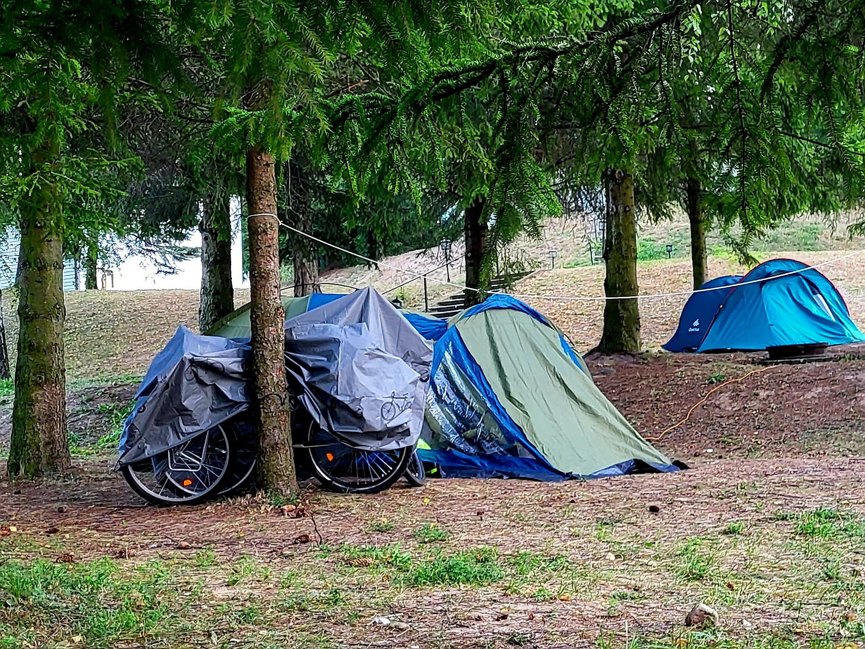 Kemping na Mazurskiej Pętli Rowerowej wśród drzew. Namioty i rowery zabezpieczone na noc w malowniczym otoczeniu natury.