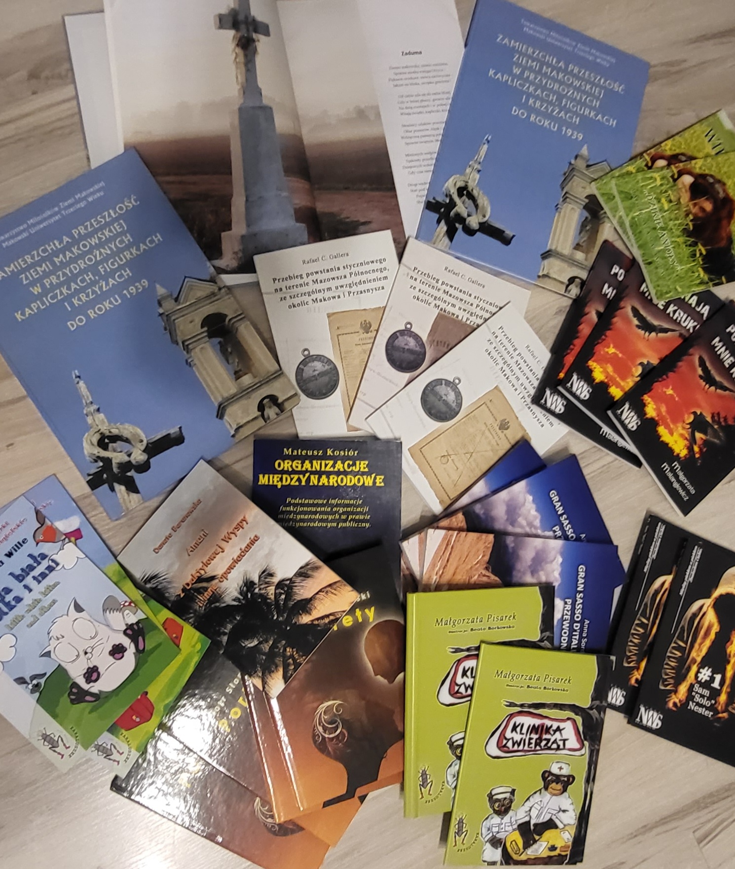 Kolekcja książek, broszur i przewodników, które powstały dzięki pracy nad projektami graficznymi i składem – przykład zaangażowania w rozwój twórczości wydawniczej.