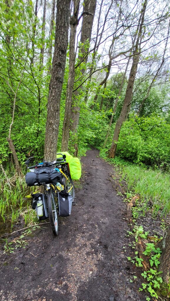 Leśna ścieżka pełna zieleni, z rowerem turystycznym wyposażonym w sakwy i sprzęt, gotowym na przygodę w sercu Mazur.