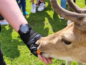 Bliskie spotkanie z mazurską przyrodą. Poznaj takie chwile z Przewodnikiem po Mazurach!