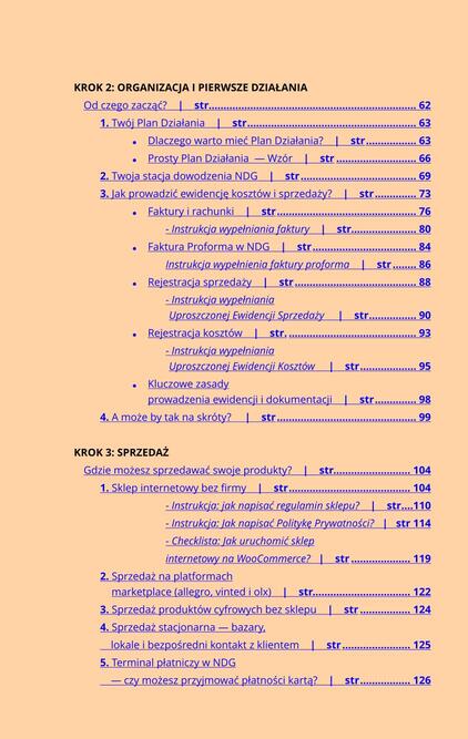 Nierejestrowana Działalność Gospodarcza 2025